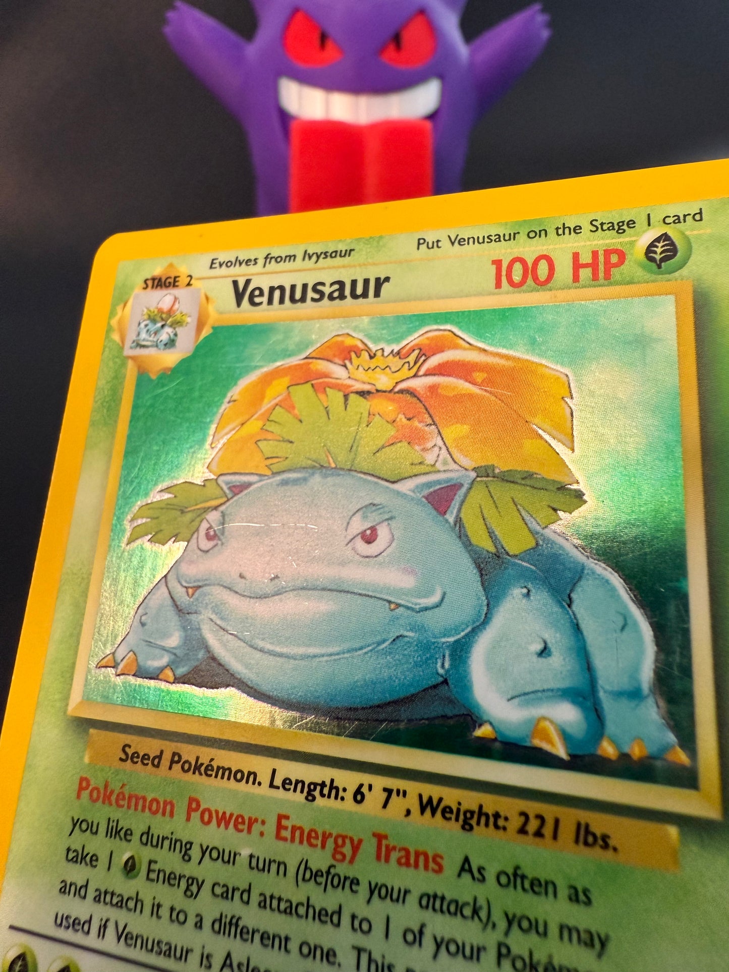 🌿 Venusaur – Base Set (Unlimited)