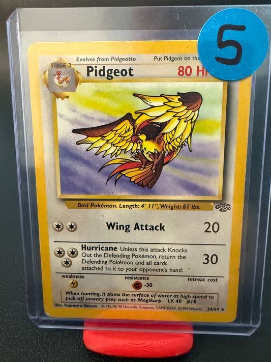 🪶 Pidgeot – Jungle (Unlimited)