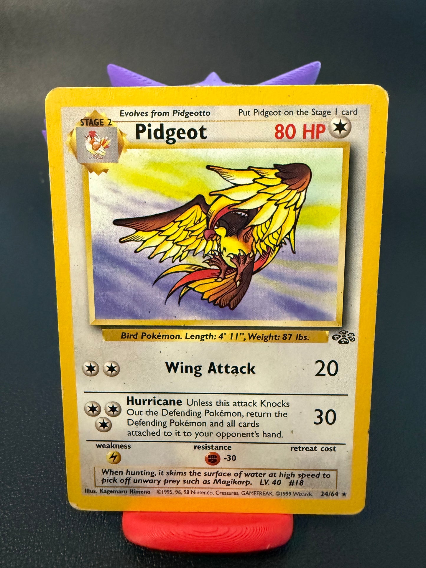 🪶 Pidgeot – Jungle (Unlimited)